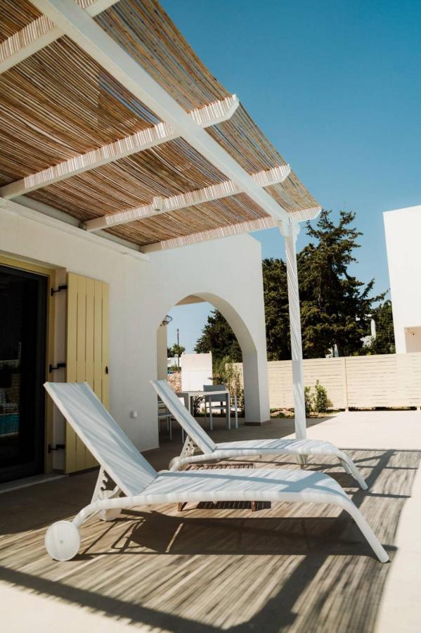 Villa Twin Suns à Drios Extérieur photo