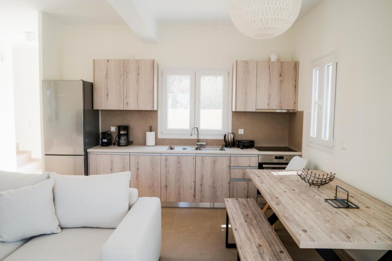 Villa Twin Suns à Drios Extérieur photo