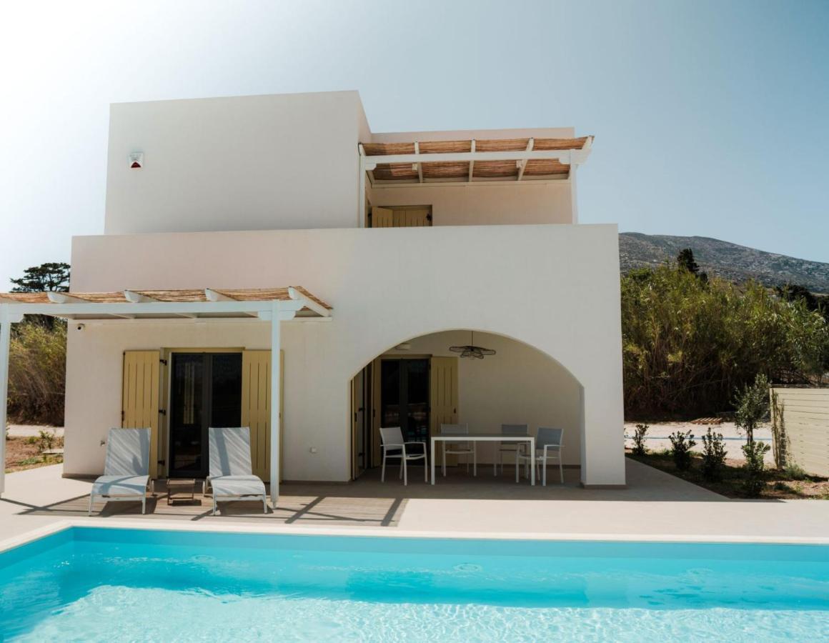 Villa Twin Suns à Drios Extérieur photo