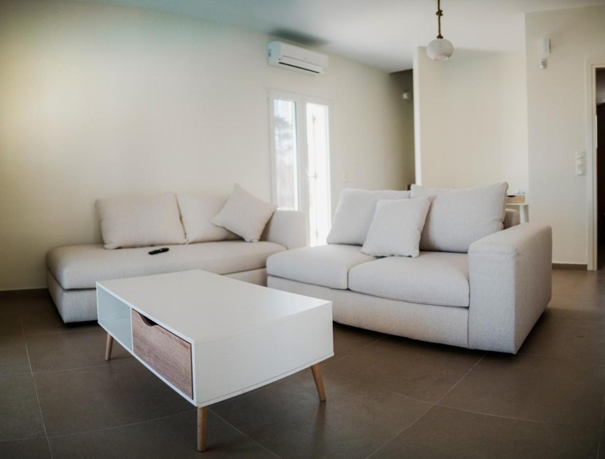 Villa Twin Suns à Drios Extérieur photo