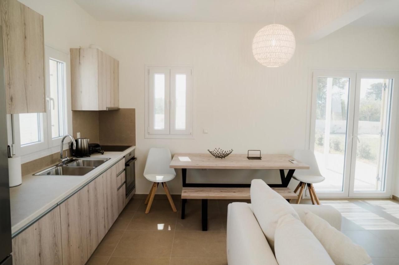 Villa Twin Suns à Drios Extérieur photo